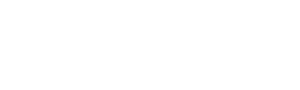 RAPLAB